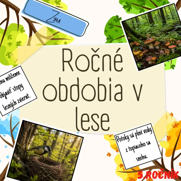 Ročné obdobia v lese