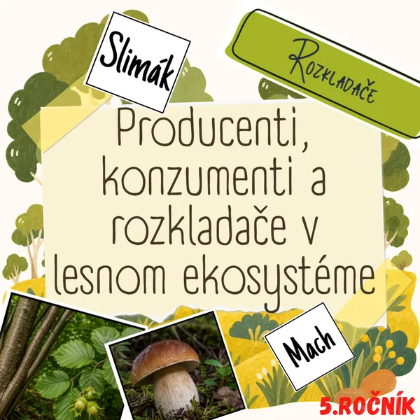 Producenti, konzumenti a rozkladače v lesnom ekosystéme