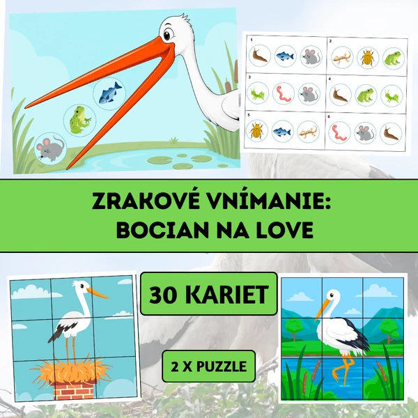 Zrakové vnímanie: Bocian na love