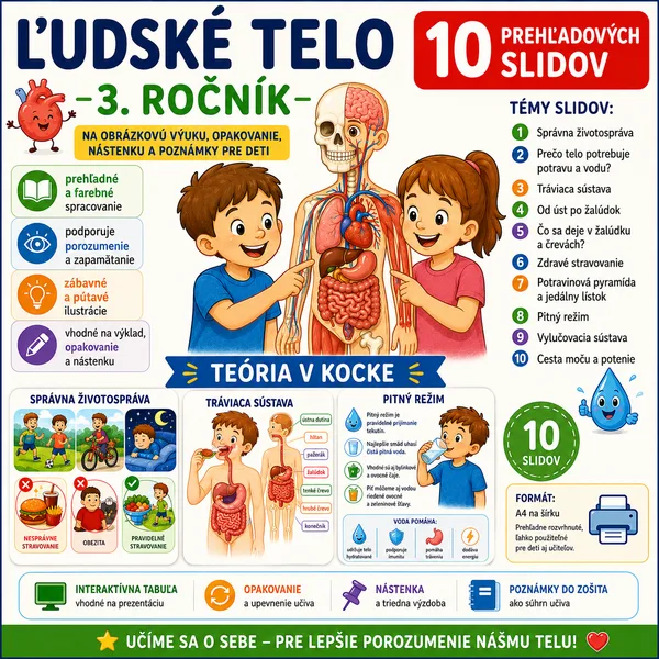 Teória v kocke – ľudské telo PDA 3.roč 
