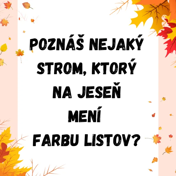 Ranný kruh - ročné obdobie jeseň