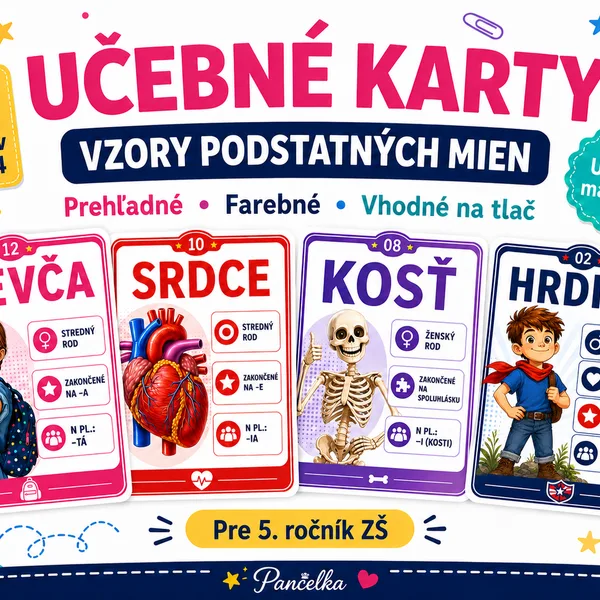 Učebné karty – Vzory podstatných mien