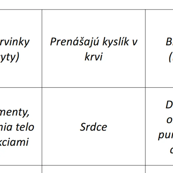 PEXESO - opakovanie ľudské telo