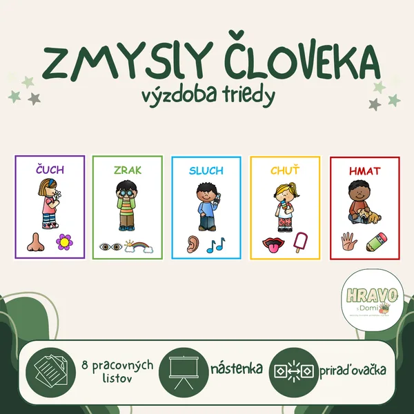 Zmysly človeka
