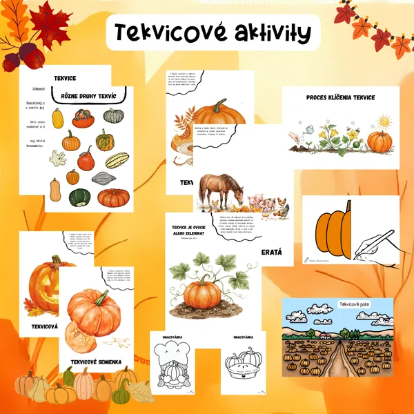 Tekvica / Jeseň / Jesenné aktivity