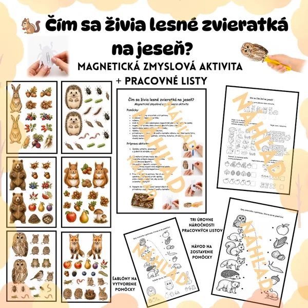 🐿 Čím sa živia lesné zvieratká na jeseň? | Magnetická zmyslová aktivita + pracovné listy