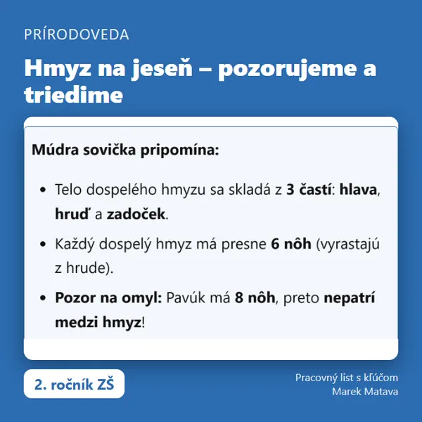 🐞 Hmyz na jeseň – pozorujeme a triedime (2. ročník)