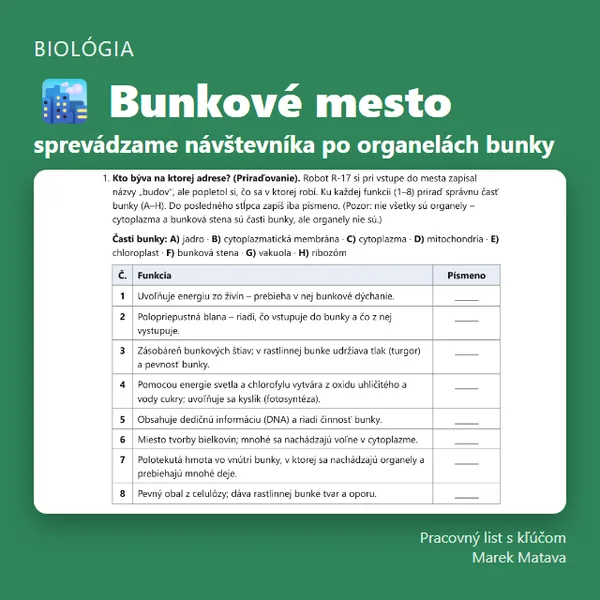 🏙️ Bunkové mesto – sprevádzame návštevníka po organelách bunky 