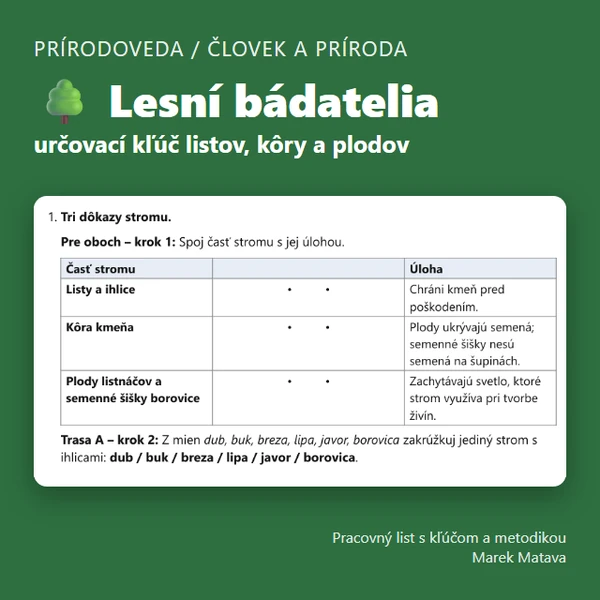 🌳 Lesní bádatelia – určujeme listy, kôru a plody