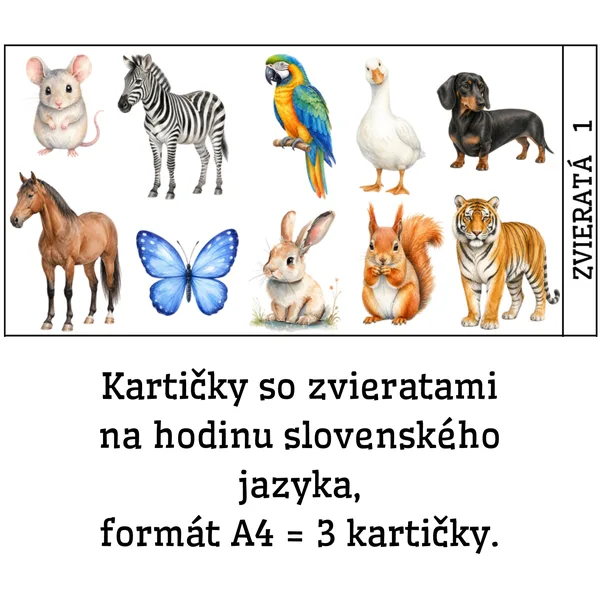 Hravá slovenčina so zvieratami – 33 kartičiek