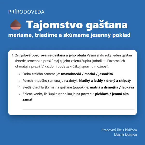 🌰 Tajomstvo gaštana – meriame, triedime a skúmame jesenný poklad 