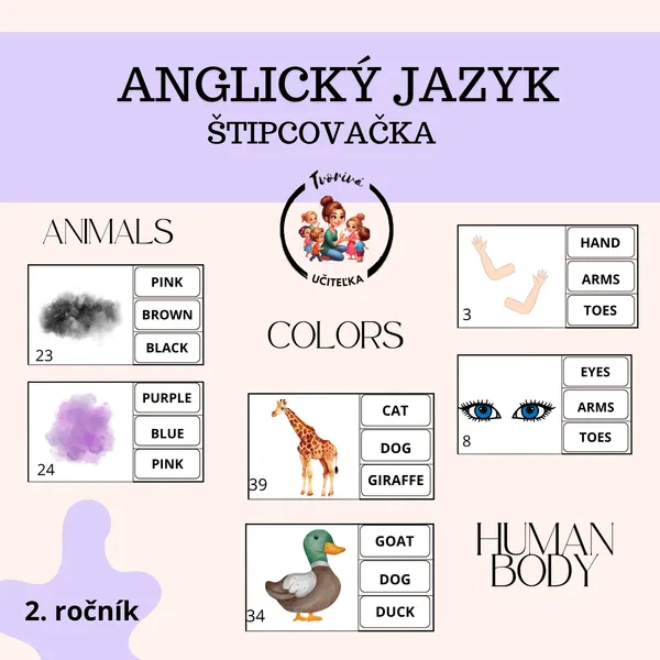 Animals, Body, Colours