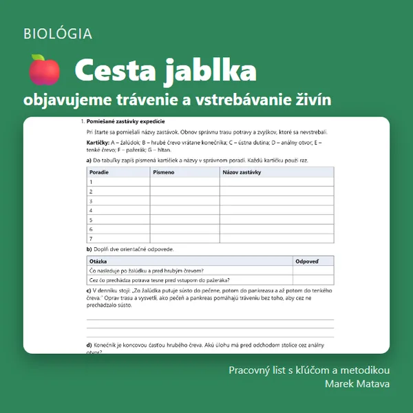 🍎 Cesta jablka – objavujeme trávenie a vstrebávanie živín
