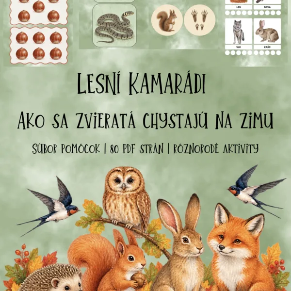 🍂 LESNÍ KAMARÁTI – Ako sa zvieratá chystajú na zimu 🦔