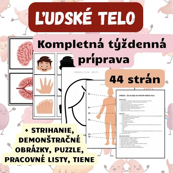 ĽUDSKÉ TELO - týždenný plán