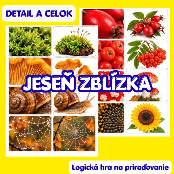 Jeseň zblízka – Priraďovanie detailov | 24 dvojíc obrázkov