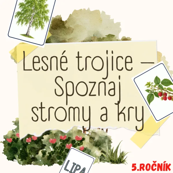 Lesné trojice – Spoznaj stromy a kry