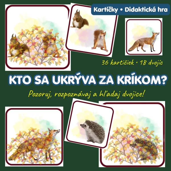 Lesné zvieratá – didaktická hra na priraďovanie kartičiek