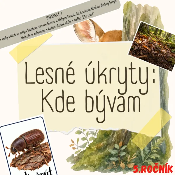 Lesné úkryty: Kde bývam