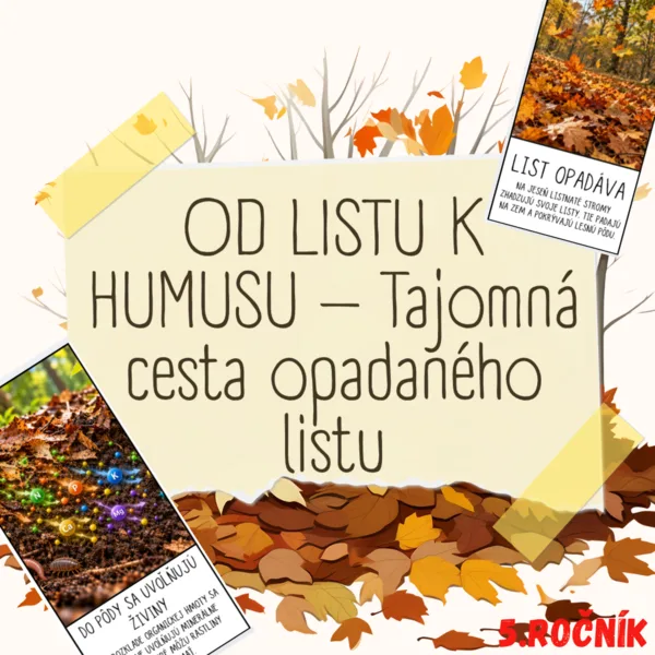 OD LISTU K HUMUSU – Tajomná cesta opadaného listu