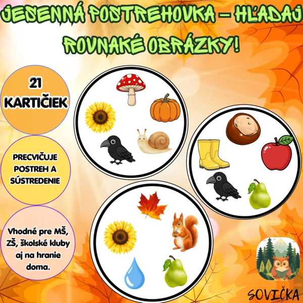 🍁 JESENNÁ POSTREHOVKA – HĽADAJ ROVNAKÉ OBRÁZKY! 🔎🍄