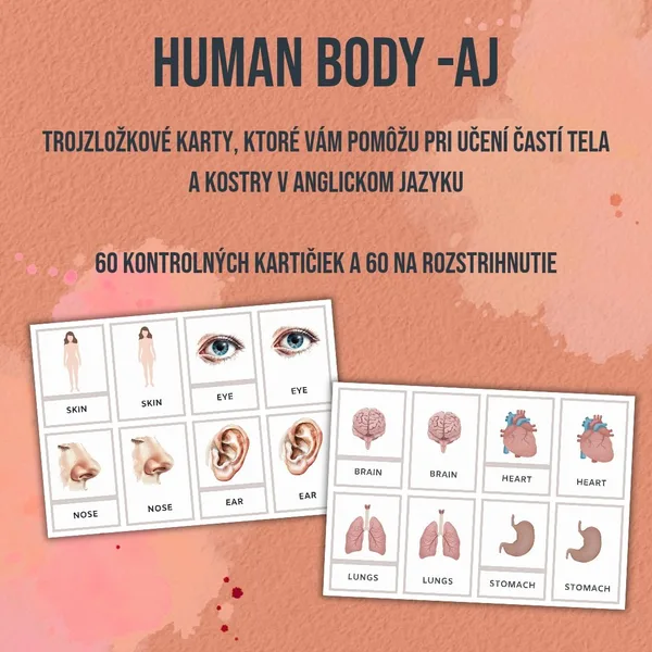 PDF Anglické trojzložkové karty Human Body