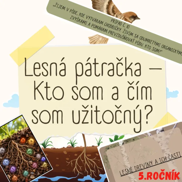 Lesná pátračka – Kto som a čím som užitočný?