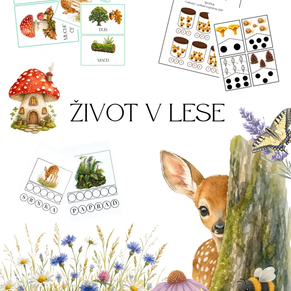 Život v lese
