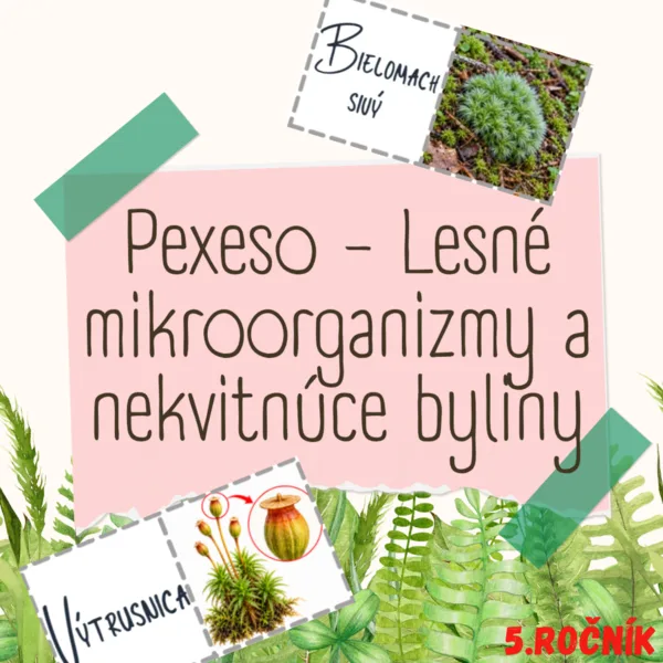 Pexeso - Lesné mikroorganizmy a nekvitnúce byliny