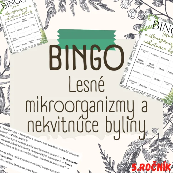 BINGO - Lesné mikroorganizmy a nekvitnúce byliny