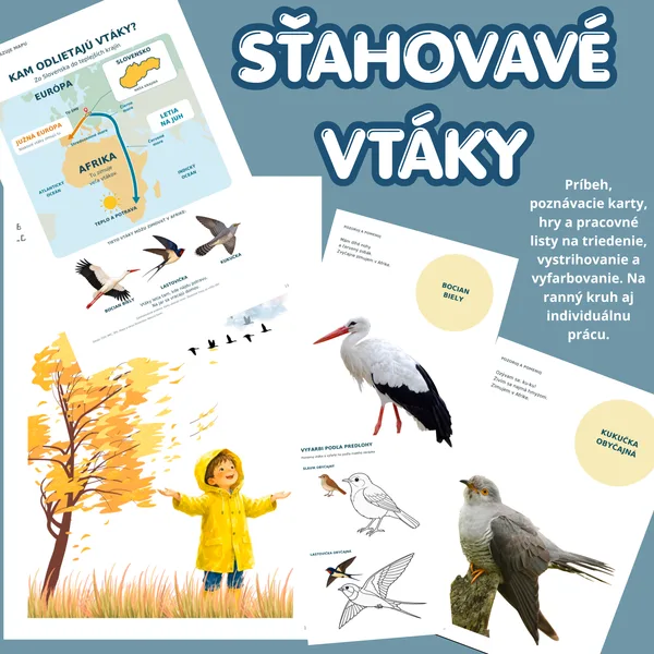 SŤAHOVAVÉ VTÁKY | Demonštračný materiál, triedenie a pracovné listy