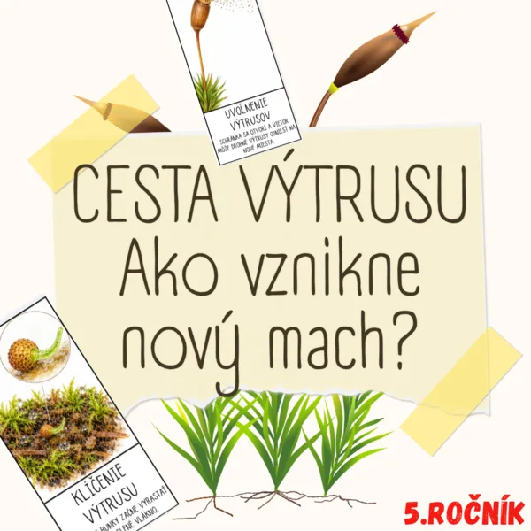 CESTA VÝTRUSU – Ako vznikne nový mach?