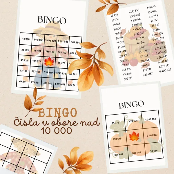 BINGO-prirodzené čísla v obore nad 10 000