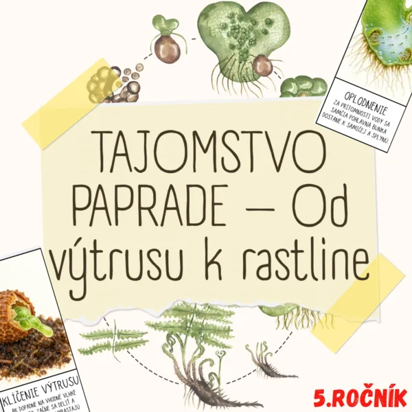 TAJOMSTVO PAPRADE – Od výtrusu k rastline