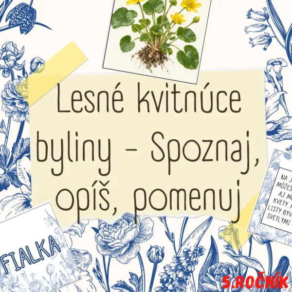 Lesné kvitnúce byliny - Spoznaj, opíš, pomenuj