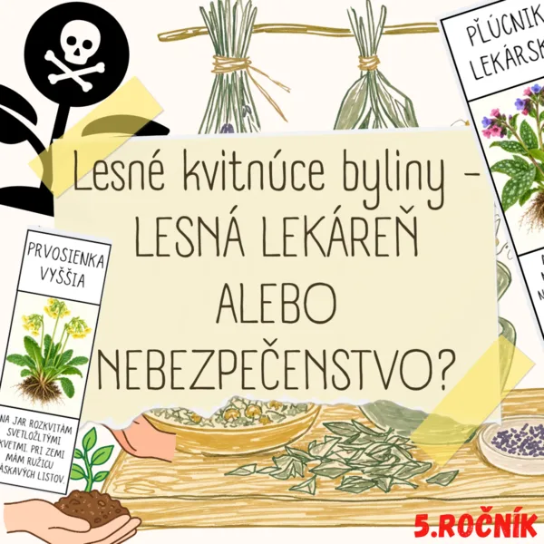 Lesné kvitnúce byliny - LESNÁ LEKÁREŇ ALEBO NEBEZPEČENSTVO?