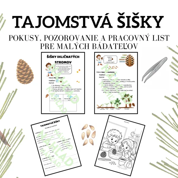 🌲TAJOMSTVÁ ŠIŠKY – pokusy, pozorovanie a pracovný list pre malých bádateľov