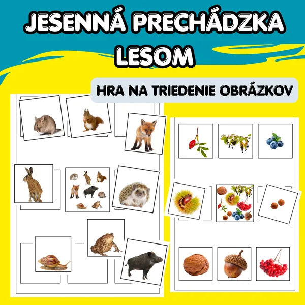 Jesenná prechádzka lesom - hra na triedenie obrázkov