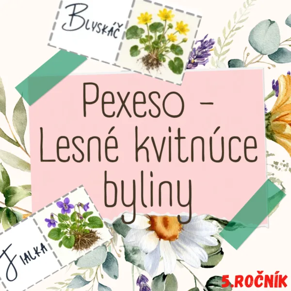 Pexeso - Lesné kvitnúce byliny