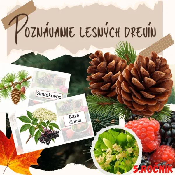 Poznávanie lesných drevín
