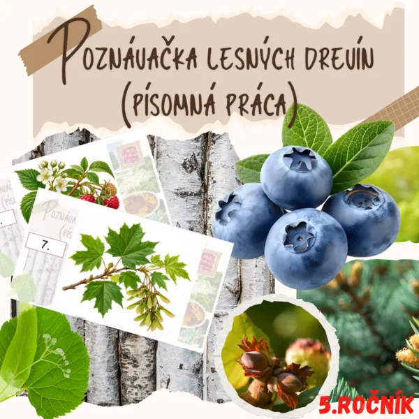 Poznávačka lesných drevín (písomná práca)-(PPTX)
