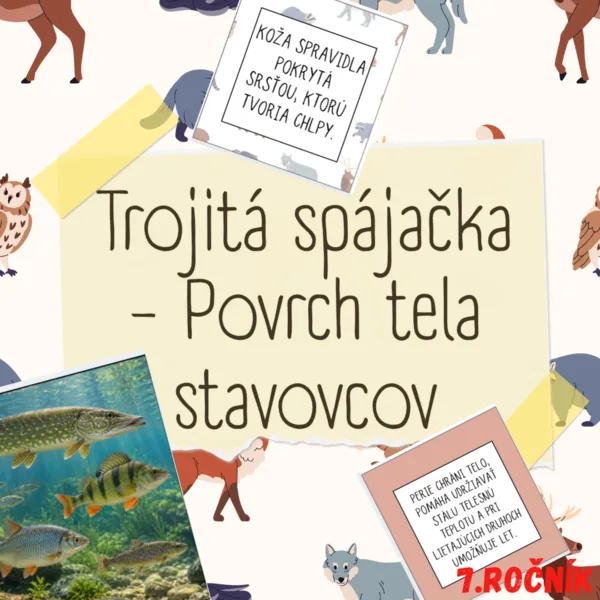 Trojitá spájačka - Povrch tela stavovcov