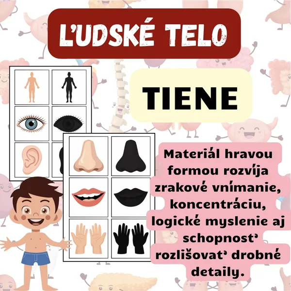 ĽUDSKÉ TELO - tiene