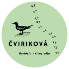 Mgr. Viktória Čviriková - profilový obrázok