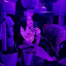 Klodywyn - profilový obrázok